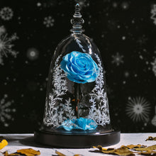 Load image into Gallery viewer, Enchanted Beauty &amp; Beast Star Rose
