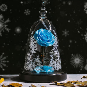 Enchanted Beauty & Beast Star Rose