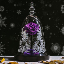 Charger l&#39;image dans la galerie, Enchanted Beauty &amp; Beast Star Rose