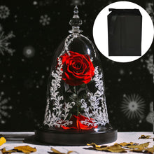 Charger l&#39;image dans la galerie, Enchanted Beauty &amp; Beast Star Rose