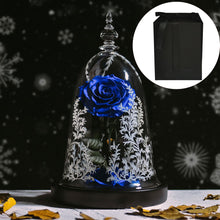 Charger l&#39;image dans la galerie, Enchanted Beauty &amp; Beast Star Rose